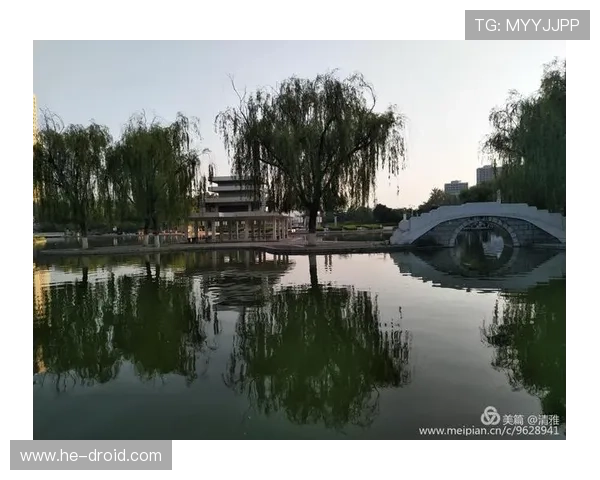 探寻移魂都市魅影的深度解析与豆瓣热议科幻剧世界全景奇想