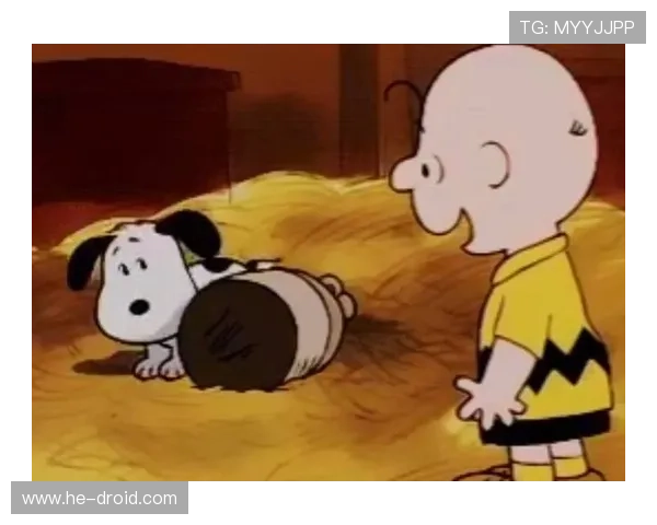 查理·布朗与史努比：一场跨越时代的友谊，一次关于成长的温柔絮语