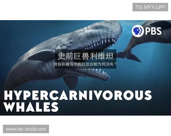 《怪兽之谜3》：深入未知，解锁史前巨兽的终极秘密！